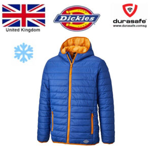 DICKIES DT7024 22 Stamford Puffer Jacket, Royal/Orange